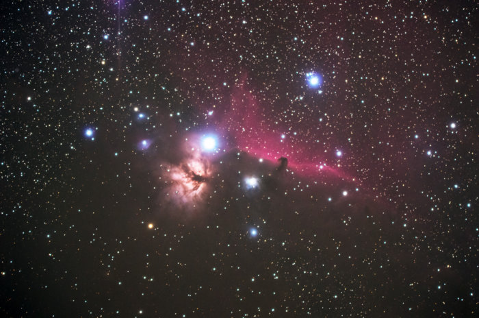 燃える木&馬頭星雲